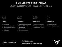 Cupra Terramar - Vorschau Bild 3