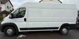 Opel Movano - Opel Movano aus 2022