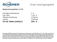 Skoda Karoq - Vorschau Bild 3