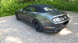 Ford Mustang Cabrio 2,3 EcoBoost Autom. Navi LED - Ford Mustang