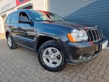 Jeep Grand Cherokee 3.0 CRD Laredo/AHK/ BF Goodrich A - Jeep Grand Cherokee Laredo mit Diesel-Antrieb