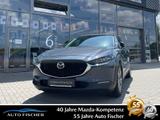 Mazda CX-30 2.0 (186PS) FWD Autom. Exclusive-Line Lede - Mazda CX-30 Exclusive-Line mit Benzin-Antrieb