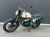 Royal Enfield Bear 650 ABS + TWO FOUR NINE 1x SOFORT VERFÜGBAR - Royal Enfield Bear 650