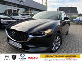 Mazda CX-30 2WD 2.0 SKYACTIV-G M SHZ/LHZ/Kamera/HUD Hy - schwarze Mazda CX-30