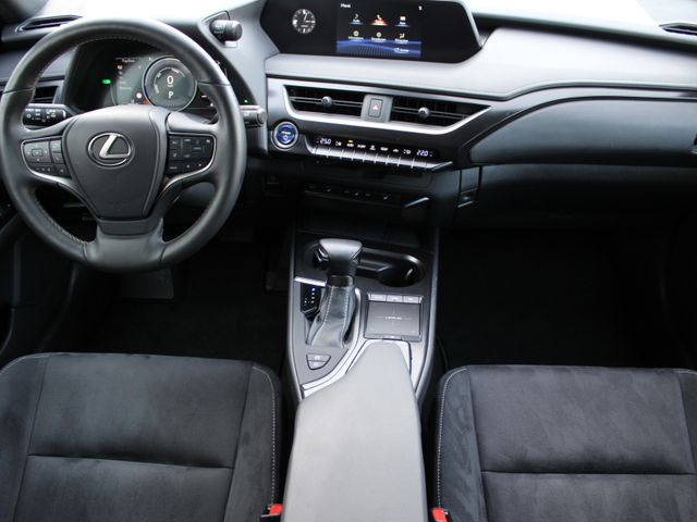 UX 250h LED*ACC*SHZ*Apple CarPlay