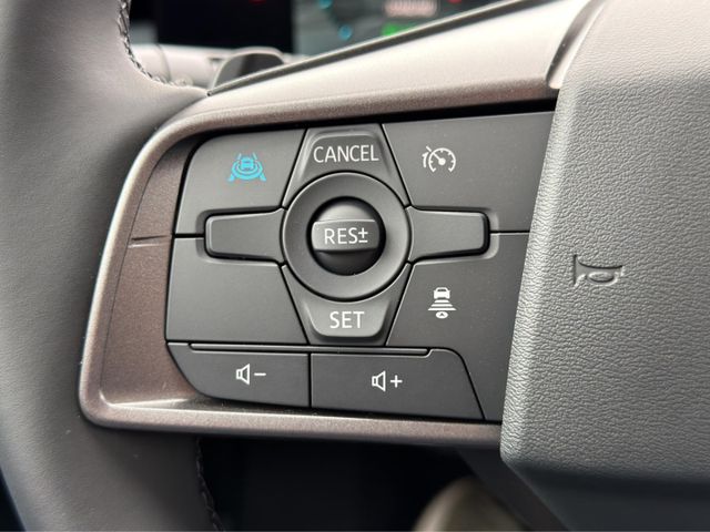 Nissan Leaf Evolve 75 kWh °PANO°HUD°Kamera°Navi°SHZ°