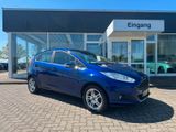 Ford Fiesta Titanium Navi PDC - Ford Fiesta aus 2014