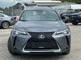 Lexus UX250 Hybrid Luxury Line*Nachlackierungsfrei - Lexus UX Gebrauchtwagen