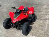 CFMOTO CForce 110 EFI - CFMOTO CFORCE 110