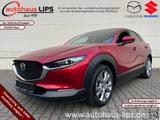 Mazda CX-30    |Selection| Navi - Mazda CX-30: Limousine