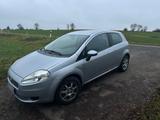 Fiat Punto - gebrauchte Fiat Punto aus dem Jahr 2005