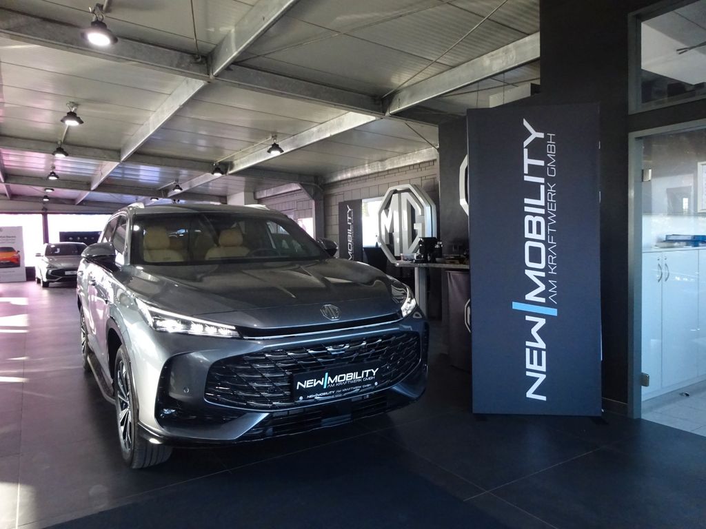 HS 1.5 T PHEV Luxury *Vorführwagen*