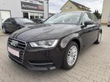 Audi A3 Sportback 1.Hand/Klimaautom/SHZ/Leder - Audi A3: Braun