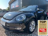 Volkswagen Beetle Cabriolet 1.2 Design BMT - Volkswagen Beetle in Hamburg
