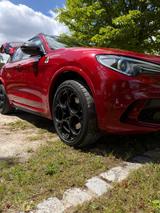 Alfa Romeo Stelvio 2.9 Bi-T. V6 375kW Quadrifoglio AT8-... - Alfa Romeo Stelvio Quadrifoglio mit Benzin-Antrieb