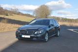 Mercedes-Benz E 250 BlueTEC 4MATIC T AVANTGARDE Autom. AVA... - Mercedes-Benz E 250 mit Diesel-Antrieb: Kombi