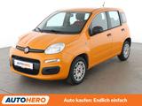 Fiat Panda 1.2 Easy*KLIMA*GARANTIE* - gebrauchte Fiat Panda aus dem Jahr 2018