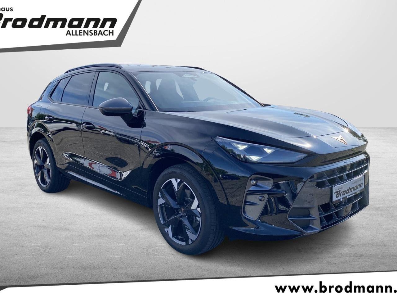 Cupra Terramar 1.5 eTSI DSG Navi-ACC-RFK-eKlappe-19