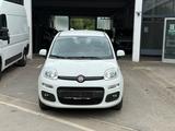 Fiat Panda Lounge - gebrauchte Fiat Panda aus dem Jahr 2020
