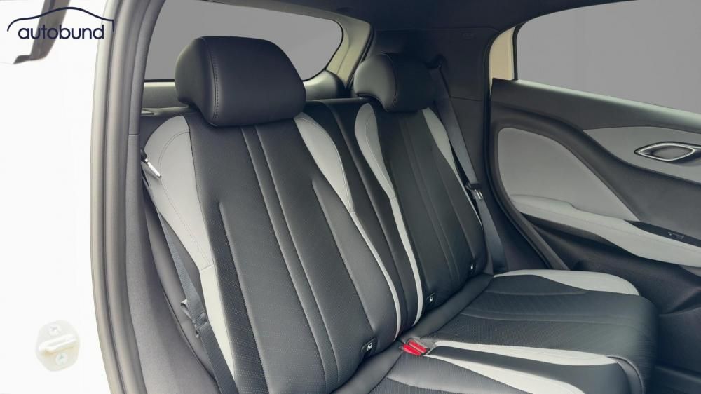 BYD DOLPHIN SURF