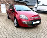 Fiat Punto Evo 1.2 8V Start&Stopp Dynamic  - rote Fiat Punto Evo