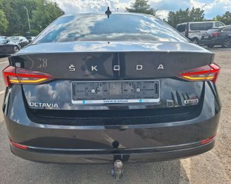 Skoda Octavia - 6