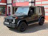 Mercedes-Benz G 350D PROFESSIONAL SCHIEBEDACH STAHLSTOß