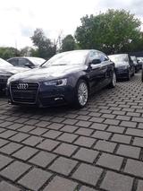 Audi A5 2.0 TDI 100kW  Sportback - - Audi A5 Gebrauchtwagen in Köln