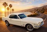 Ford Mustang  Coupé  1964 V8 302 5.0 Autom... - Ford: 302