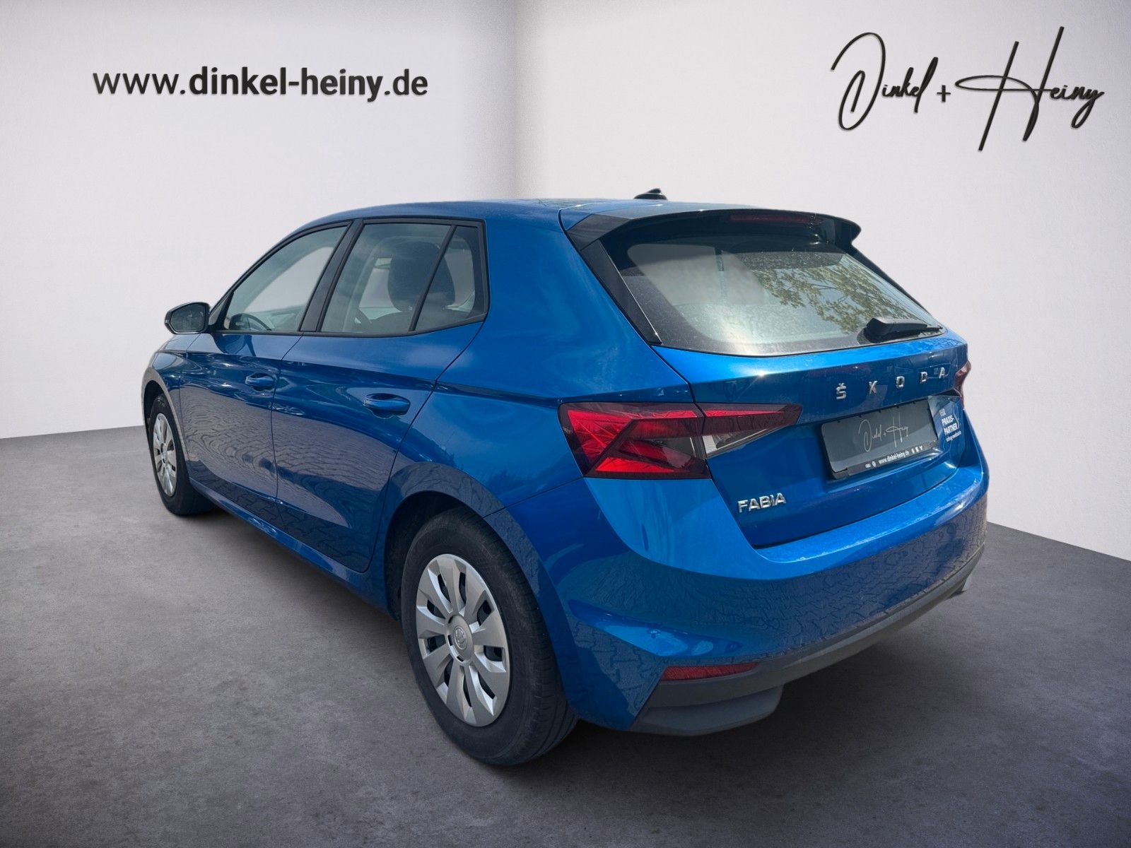 Fahrzeugabbildung SKODA Fabia Ambition 1.0 TSI
