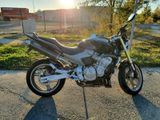 Honda Hornet PC36 * BOS Auspuff * div. Zub - Angebote entsprechen deinen Suchkriterien