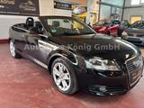 Audi A3 Cabriolet Ambition*TUV NEU* - Audi A3 aus 2010: Cabrio