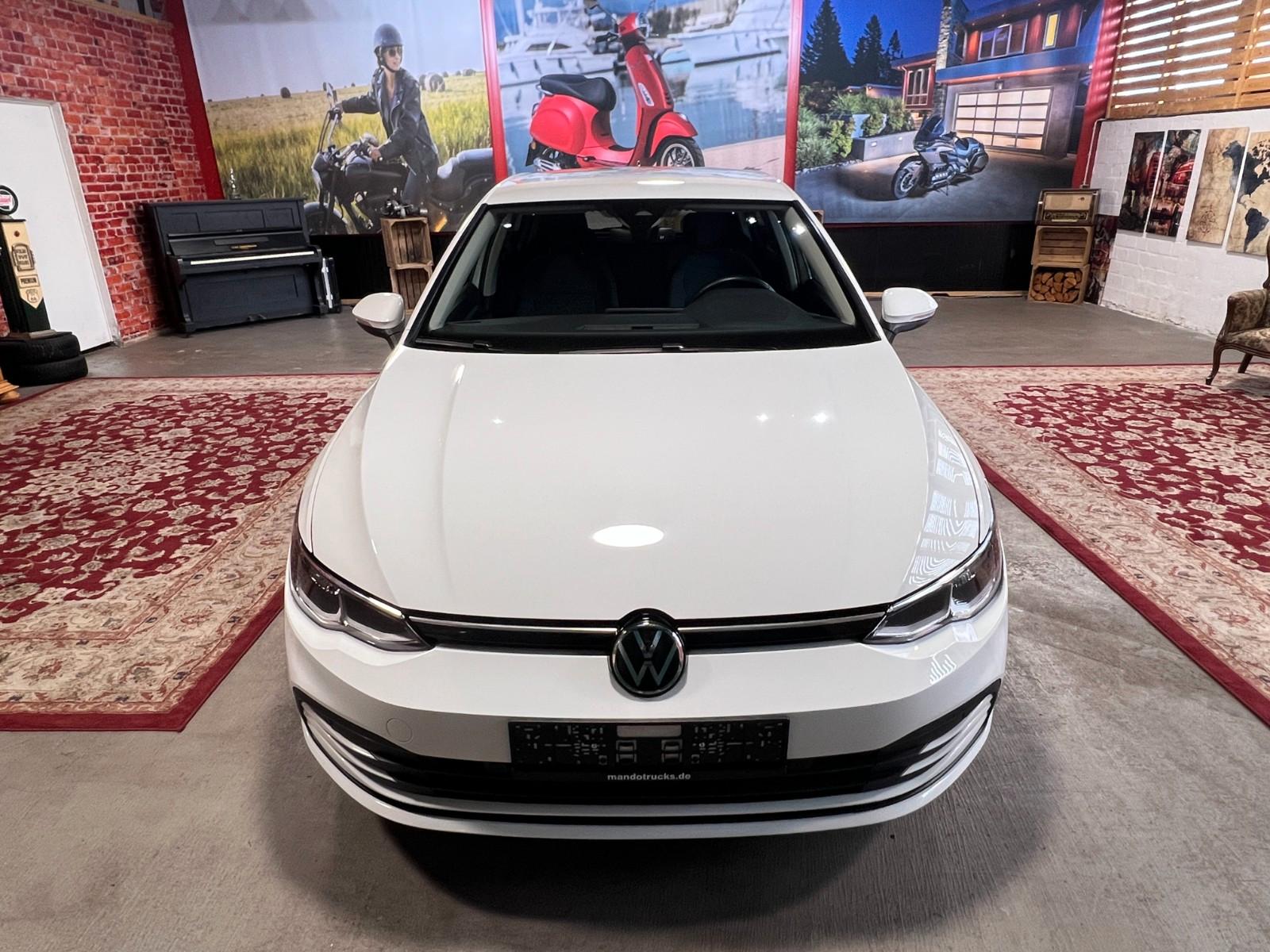 Volkswagen Golf VIII 2.0 TDI Life DSG, LED, Ambiente, миниатюра 2