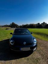 Volkswagen Käfer - Volkswagen Käfer: Roadster