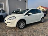Fiat Punto Pop Allwetterreifen DAB Kamera - Fiat Punto Gebrauchtwagen