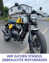 Royal Enfield Bear 650  Twin EFI - Wild Honey - Royal Enfield Bear 650