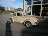 Volkswagen Ovali 1200 - Volkswagen Käfer: Limousine, Ovali
