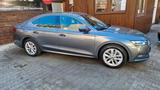 Skoda Octavia Lim. Style Hybrid/Benzin - Skoda Octavia: Style