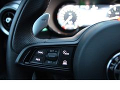 Fahrzeugabbildung Alfa Romeo Tonale Veloce*Alcantara!*19Zoll*Ambiente!*Kamera