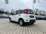 Fiat New Panda 1.0 *Klimaanlage Radio DAB ESP* - scheckheftgepflegte Fiat New Panda