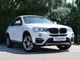 BMW X4 xDrive 20 d* X-Line*Sportsitze*Head-up*Kamera - BMW X4 Gebrauchtwagen in München