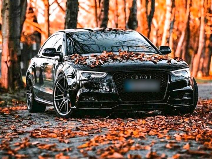 Image of Audi A5