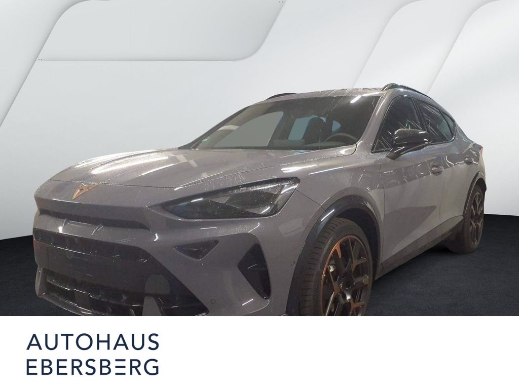 Formentor VZ 2.0 TSI 5JGar 360° MATRIX LM19 AHK