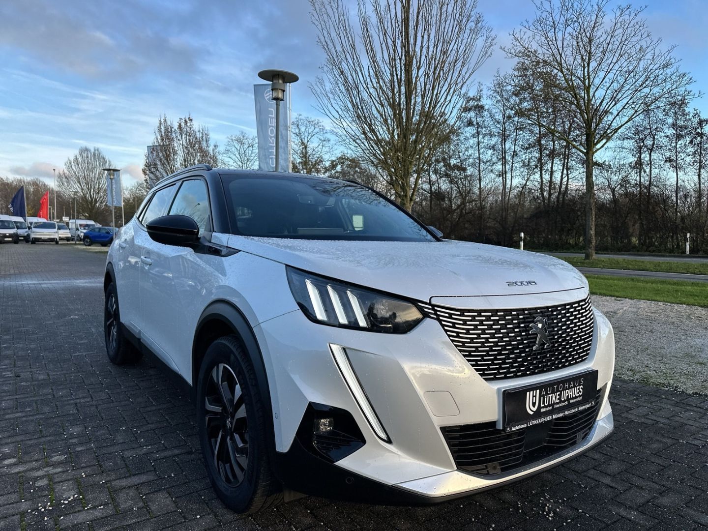 Fahrzeugabbildung Peugeot 2008 GT Elektro 136 Sportpaket El. Panodach Navi