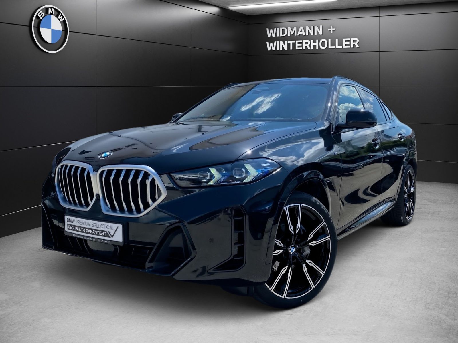 BMW X6 xDrive40d M Sport Pano DA Prof AHK 22´´ STH