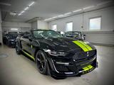 Ford Mustang 2.3 Ecoboost/ Shelby/Virtual - Ford Mustang: Shelby