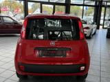 Fiat Panda 1.2 Easy, 1.Hand, Klima, PDC, HU neu ! - gebrauchte Fiat Panda aus dem Jahr 2016