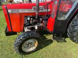 Massey Ferguson MF 255 - Angebote entsprechen deinen Suchkriterien