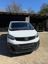 Fiat Scudo - Fiat Scudo von privat