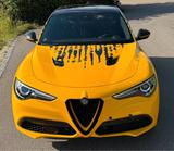 Alfa Romeo Stelvio 2.2 Diesel 16V 154kW Veloce QV Style - Alfa Romeo Stelvio aus 2021